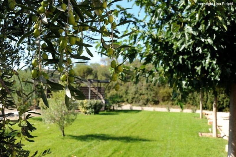 Les Hotes De La Combe Mouis Creissan Εξωτερικό φωτογραφία